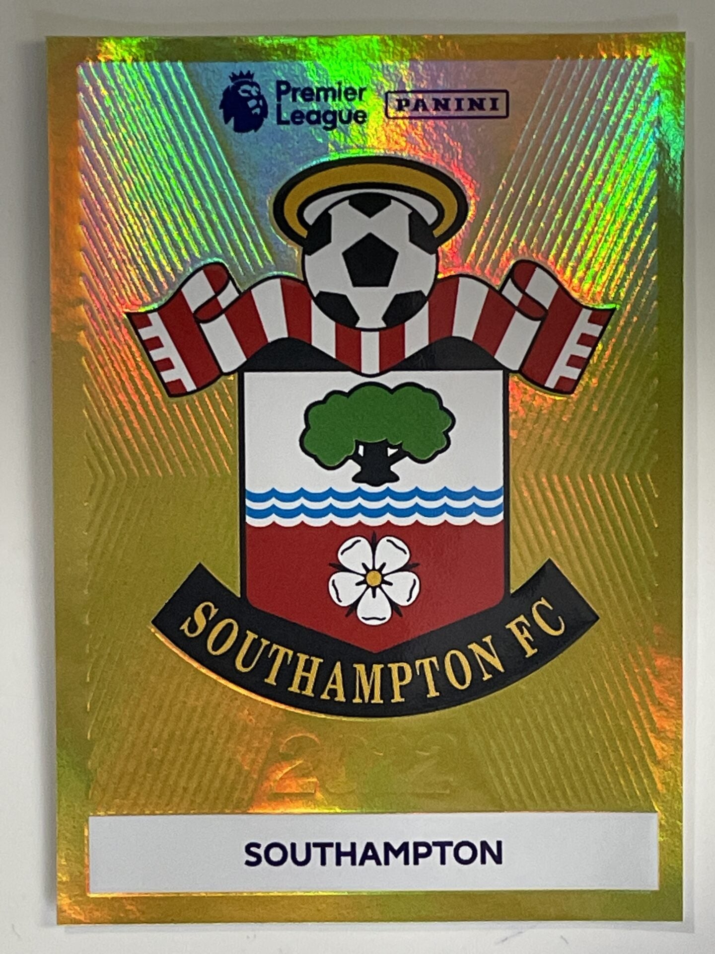 Southampton Badge Panini Premier League 2022 Football Sticker