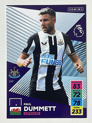 Newcastle UTD Premier League 2019/20 19/20 Equipo Set 18 tarjetas Panini Adrenalyn