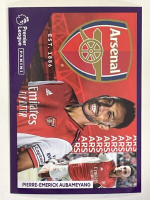 Arsenal Captain Panini Premier League 2022 Football Sticker