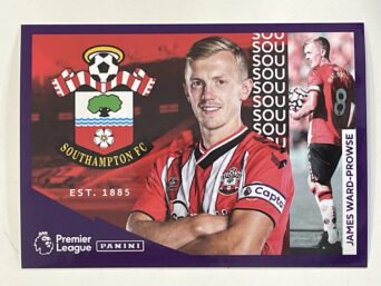 Southampton Captain Panini Premier League 2022 Football Sticker