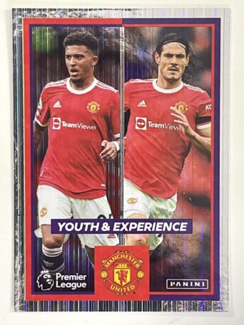 Youth & Experience Manchester United Panini Premier League 2022 Football Sticker